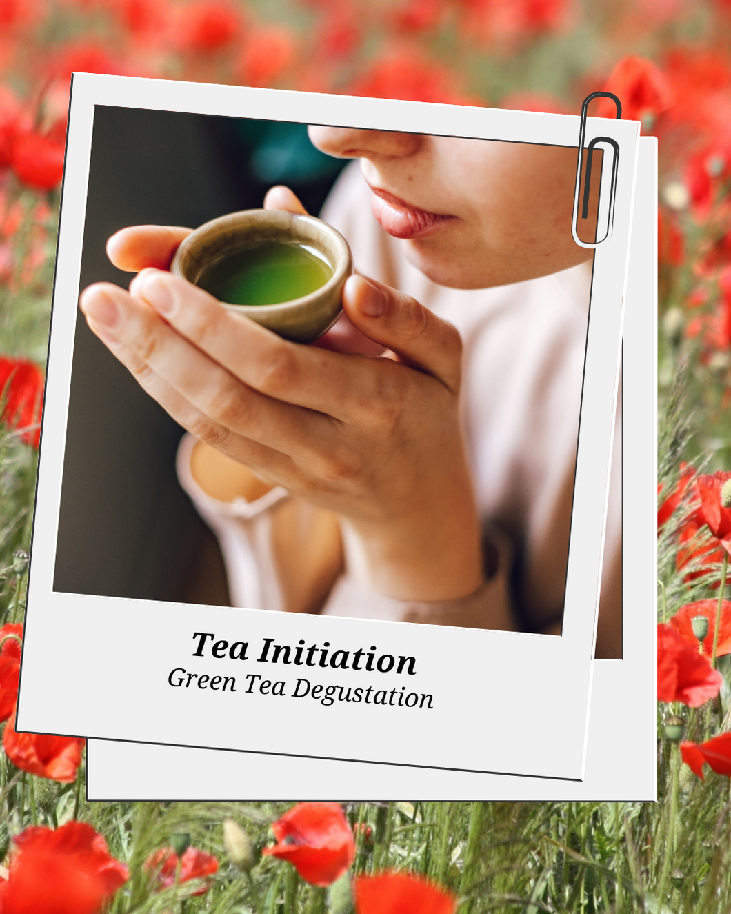 Tea Ceremony Immersion: Green Teas Degustation at Bliss Studio - Saturday, March 2