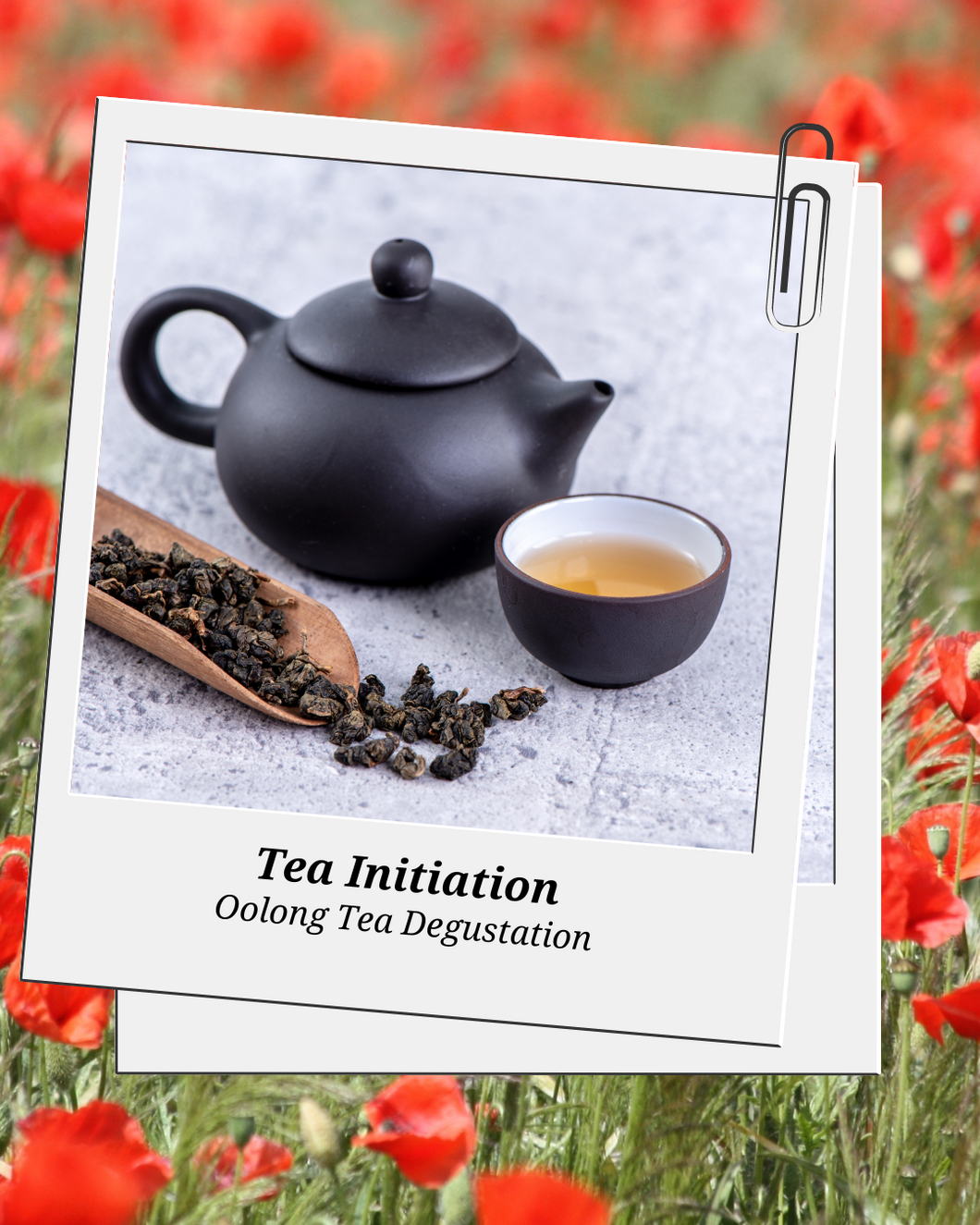 Tea Ceremony Immersion: Oolong Teas Degustation at Bliss Studio - Tuesday, April 30